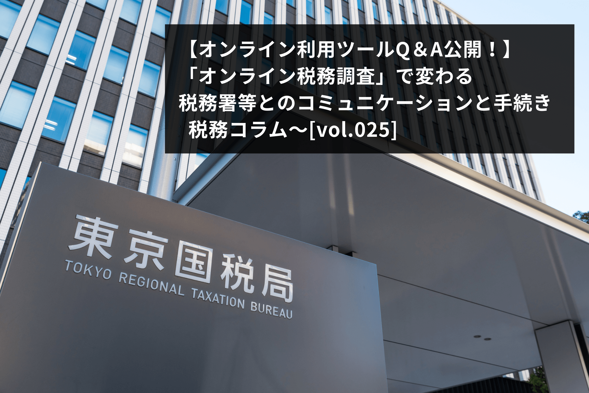 オンライン税務調査